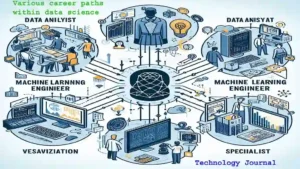 Various career paths within data science