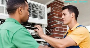 Professional Technician Servicing an AC Unit